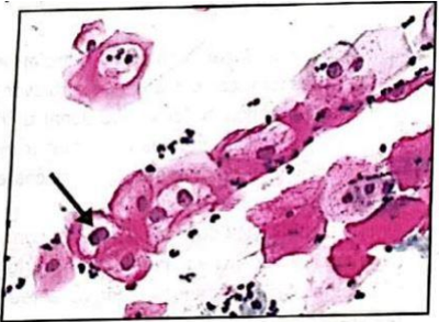 Imagem da questão