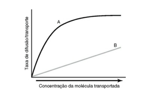 Imagem da questão