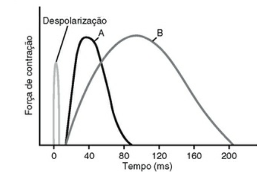 Imagem da questão