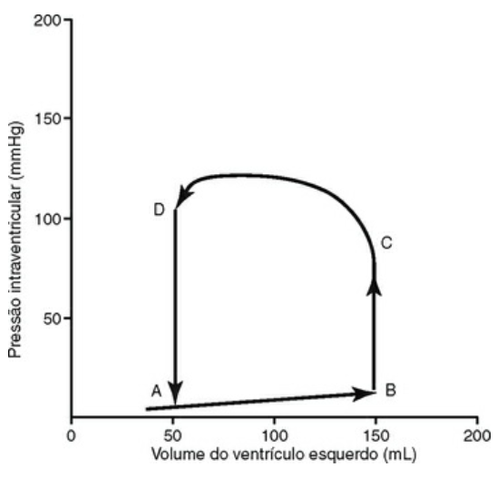 Imagem da questão