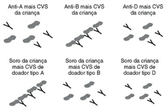 Imagem da questão