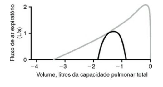 Imagem da questão