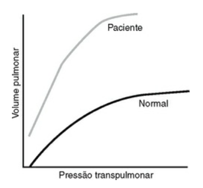 Imagem da questão