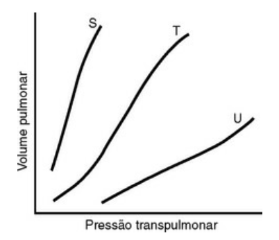 Imagem da questão