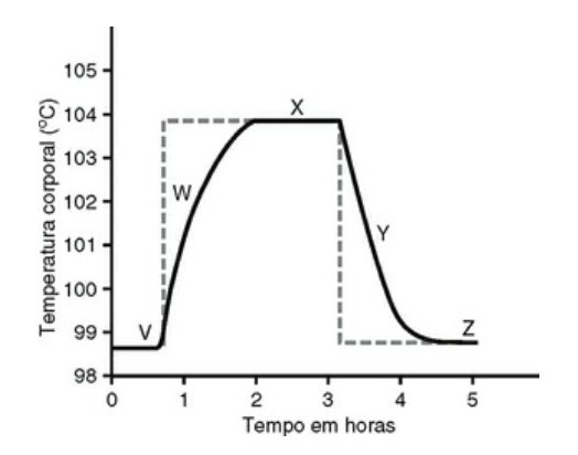 Imagem da questão