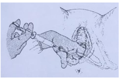 Imagem da questão